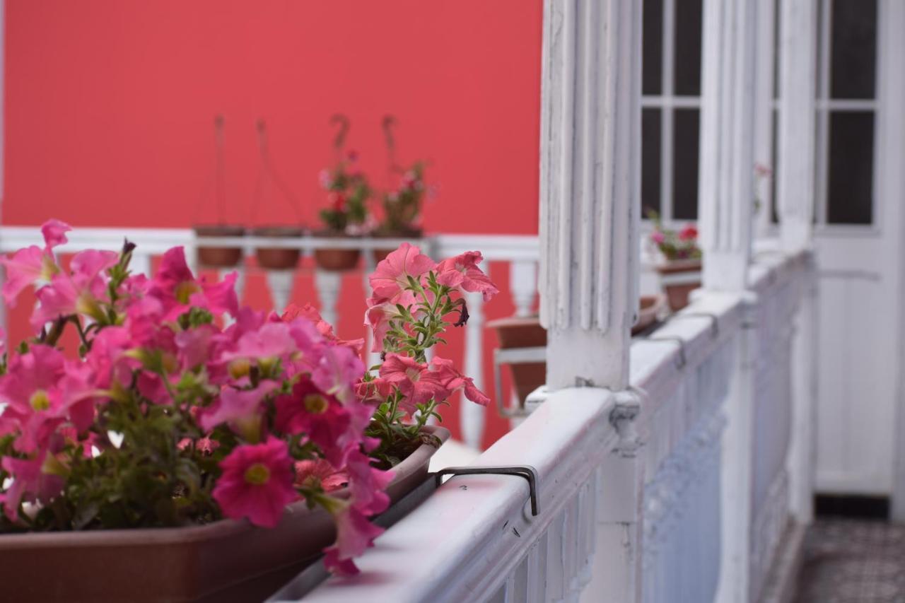 Mango Hostel B&B Arequipa Eksteriør billede